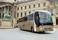 man lion’s coach