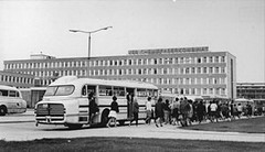ikarus