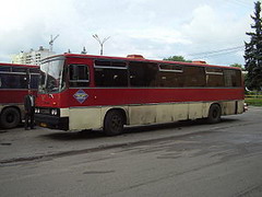 ikarus-250