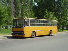 ikarus-260