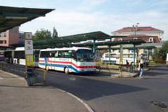 автобусы sor
