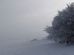 метель на юге прикамья замуровала два башкирских автобуса