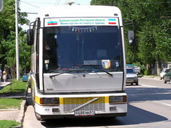 автобусы из ростова в москве досматривают с собаками